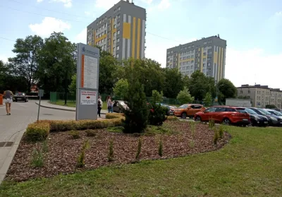 Renowacja terenów zielonych ze wsparciem WFOŚiGW – 