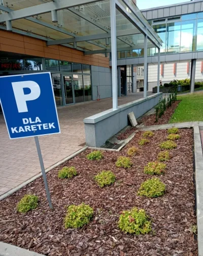 Renowacja terenów zielonych ze wsparciem WFOŚiGW – 