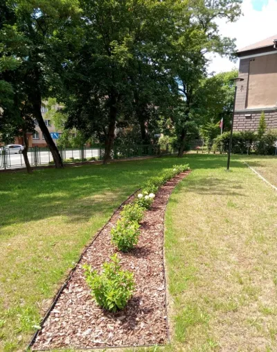Renowacja terenów zielonych ze wsparciem WFOŚiGW – 